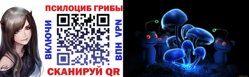 mega как войти  купить наркотики сайты  Чайковский  Псилоцибиновые грибы Psilocybine cubensis 